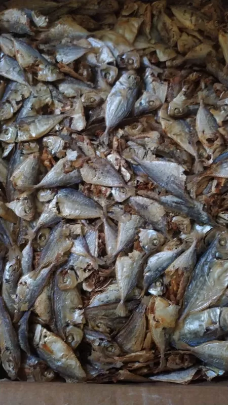 ikan asin biang rebus